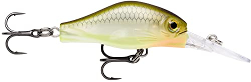 Rapala - Shadow Rap Fat Jack Angelköder - Angelzubehör für Forelle, Barsch und Döbel - Süßwasser Spinnköder - Lauftiefe 3m - Fischköder 4cm, 4g - Hergestellt in Estland - Ghost Sandeel
