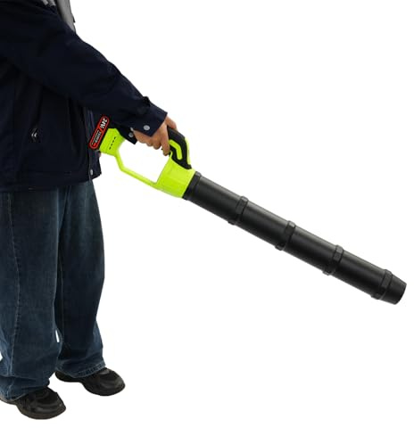 Laubbläser Akku 21V Kabellos, Elektrischer Laubsauger | 2 Akkus & Ladegerät, 30000 U/min, Für Laub und Staub, Klein & Leicht, Für Terrasse, Garage und Gehweg