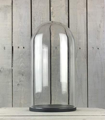 EMH Grand dôme en verre avec base en bois noir 40 x 15 cm