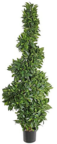 artplants.de False Cherry Laurel Spiral AMBER, real trunk, 165 cm - Artificial cherry laurel plant
