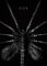 Displate Offiziell Alien MetallPoster Magnetische Befestigung Inklusive Lizenziert Bilder Hochwertiges Poster Alien Moth Poster 67.5 cm x 48 cm