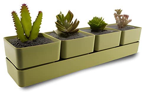 ECOMACETAS FLOWERPOT STORE Maceta para Suculentas con 4 recipientes, 6 Colores Distintos, con Drenaje y Bandeja Incluido. (Verde, 1und)