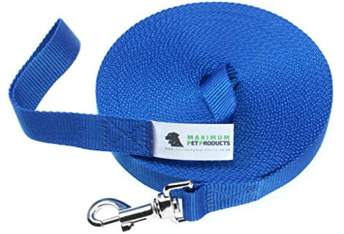 200 FT Blau Hund Training führen