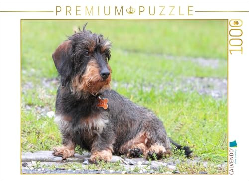 CALVENDO Puzzle Liebenswerter Rabauke | 1000 Teile Lege-Größe 64 x 48 cm Foto-Puzzle für glückliche Stunden