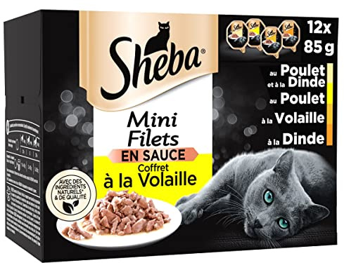 Sheba Mini Filets - Barquettes pour Chat Adulte, Coffret à la volaille en Sauce, 6x12x85g (L'emballage Peut Varier)