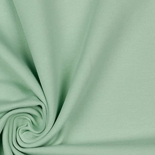 Organic Bio French Terry 60 Farben 0,5x1,5m Sommersweat Baumwolle Oeko-Tex, Farbe:015 - mint