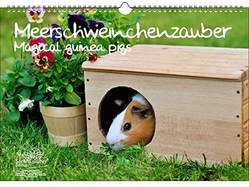 Meerschweinchenzauber DIN A3 Immerwährender Kalender Meerschweinchen - Seelenzauber