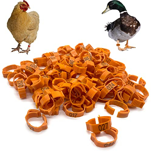 DHER Geflügel Fußringe Kleingeflügel Klemmringe Tauben Fußringe 100 Stück mit digitalem Bajonett Identifikations-Taubenring, digitaler 1-100 Marker-Taubenfußring, 18-22mm verstellbarer (Orange)