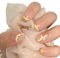 EIROVYA Autocollants pour Faux Ongles Style Citron, 24 pièce