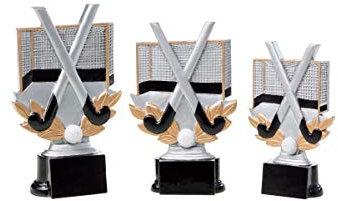 eberin · Hockey Pokal mit Schläger & Tor · mit Wunschgravur · Resinfigur Silber Rosegold Schwarz · Pokalserie · Sportauszeichnung · Kinderturnier · Jugendhockey · Siegerehrung, Größe 16 cm