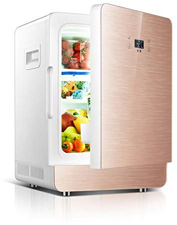 INPETS Frigorifero for auto da 20 litri, mini frigorifero, refrigerazione unipolare, AC caldo e freddo / 12 V CC, usato for automobili e automobili,Argento (Color : Gold)