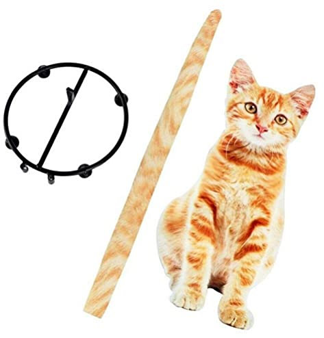 Porte-papier toilette pour chats (gris)