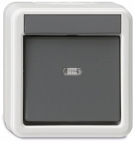 Gira Wippschalter 010630 Wechsel WG AP grau, 250 V