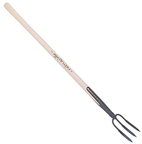 Fourche à Rosier, Gris Algue