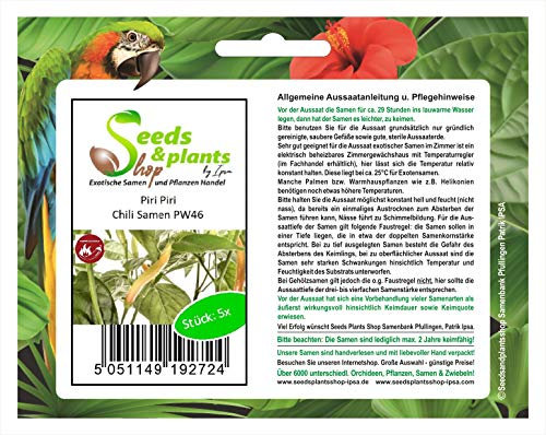 Stk - 5x Piri Piri- Samen Saatgut Küche Garten Chili samen PW46 - Seeds & Plants Shop by Ipsa
