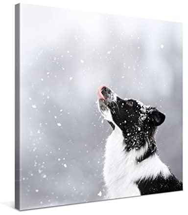 PICANOVA – Ihr Foto auf Leinwand 40x40 cm – Premium Fotoleinwand – Ihr Eigenes Bild auf Leinwand als Personalisierte Wanddeko – Wandbild mit Wunschmotiv – Leinwandbild Auf 2 cm Holz–Keilrahmen