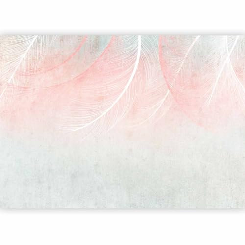 murando Carta da parati colorato Piume 200x140 cm Fotomurali in TNT Murale alla moda Decorazione da Muro XXL Poster Gigante Design Carta per pareti Aspetto concreto Boho bianco rosa b-C-10182-a-c