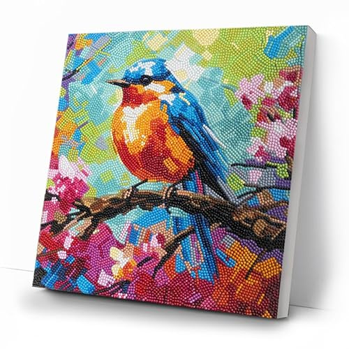 CRYSTAL ART Spring Robin 30x30m Canvas Kit Craft Buddy