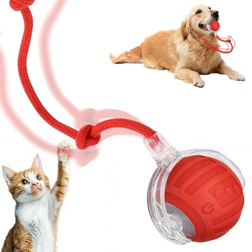 Interaktives Katzenspielzeug Ball,Katzenspielzeug Elektrisch Ball Interaktives Spielzeug Katzenball Elektrisch mit Schwanz,360° Automatisch Rolling Smart Toy Ball,Interactive Toys Für Katzen Hunde
