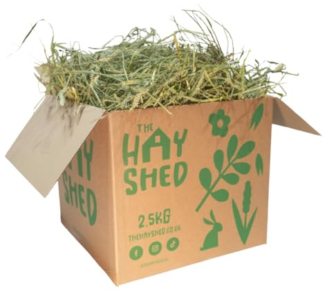 The Hay Shed Green Wheat & Timothy Hay Box Blend – Natural Edible High Fibre Foraging Food - Long Stem Eating Grass for Rabbits, Guinea Pigs, Chinchillas & Other Small Pets - Barn Dried, Dust Free