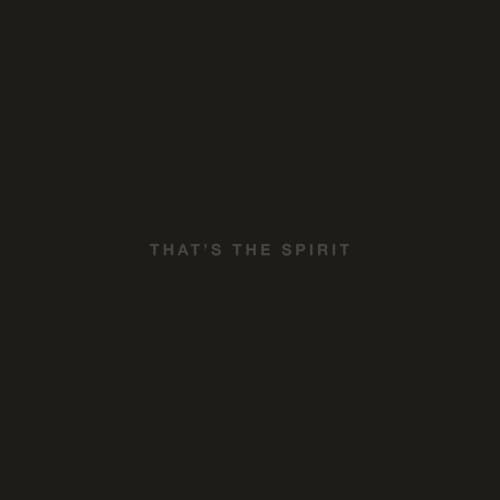 That'S The Spirit [VINYL]