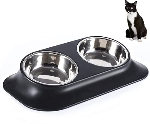Raised Cat Bowl Pet Bowl,Stainless Steel Elevated Small Dog Bowls,15°Tilted Whisker Reliefs Fatigue Free Stress Anti Vomiting Cat Food Water Bowls,Non Slip Cat Feeding Bowls(Double Bowl)