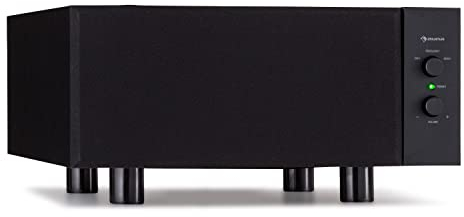 Auna 2 Subwoofer Passivo, Casse Acustiche Passive 80W RMS con Output Max di 100W, Grandi Bassi, Design Compatto per Sistema Stereo e Home Theater, Amplificatore Subwoofer TV AUX per MP3 e CD