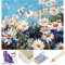 ARTNAPI Malen nach Zahlen Erwachsene mit Rahmen | DIY Handgemalt | Blumen - Gänseblümchen | Kit für Anfänger und Erwachsene | Set inklusive Acrylfarben & Pinsel | 40x50cm Leinwand | Ideal als Geschenk