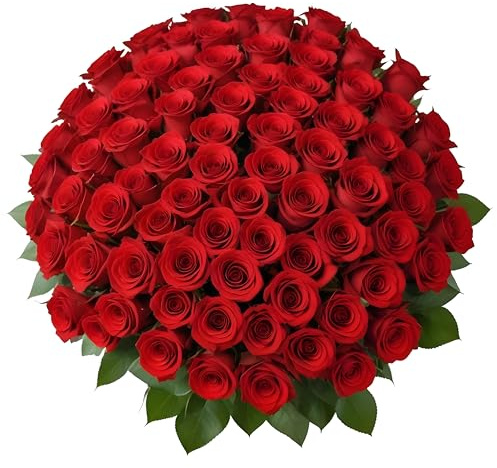 100 Red Roses | Bulk Roses by Arabella Bouquets | Real Fresh Flowers for Delivery, Gift for Birthday Women, Congratulations, Anniversary, Thank You, Mother's Day