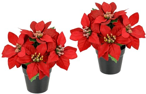 Flair Flower Lot de 2 Fleurs artificielles en Pot - Étoile de Noël - Décoration de Noël - Fleurs artificielles - Branche de X'Mas - Cadeau - Décoration de l'Avent