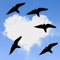 5x Vogel Aufkleber Vogelschutzaufkleber, ES-VOG-MIX-22-88 Fensteraufkleber, Vogelschutz, Warnvogel,Vogel-Silhouetten, Schutz vor Vogelschlag, Fensterschutz für Fenster und Glastüren