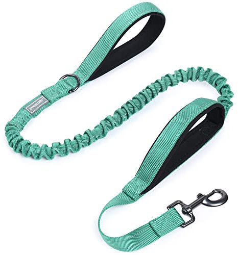 VIVAGLORY Laisse Bungee Haute Résistance pour Chien, Laisse de Formation Réfléchissante sans Traction avec Poignée de Trafic pour Chiens Moyens et Grands, Tailles Ajustables, Turquoise