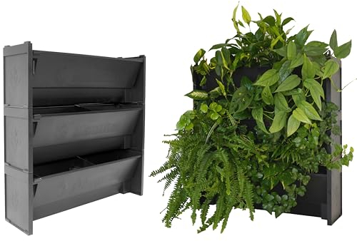 EVERTIA Jardín Vertical, Macetas para Jardines Verticales Naturales en Exterior o Interior, Huerto Vertical, Sistema de Autorriego, 60 x 60 cm (3 Macetas)