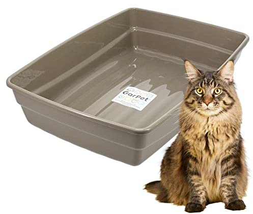 GarPet Katzenklo in 5 Größen Katzentoilette ohne Deckel Katzen WC Schalentoilette Klo grau eckig hygenisch XL (52x37x12)