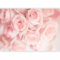 murando - Papier peint panoramique nature 450x315 cm - Revêtement mural décoration salon - Design moderne - Rose rouge marron - Les plantes bouquet de plantes nature fleurs rose b-B-10027-a-a