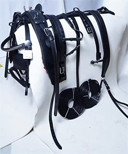 Aces Equine Pferdewagen-Geschirr, robust, Leder, Schwarz