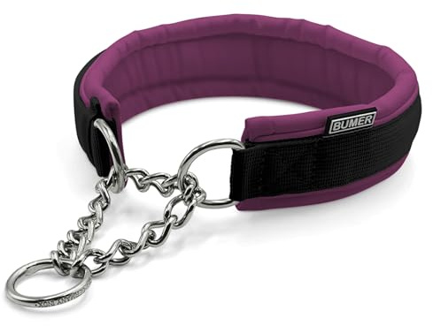 BUMER Hundehalsband, SPRENGER® Durchzugskette aus Edelstahl, Softshell Polsterung, Softshell: Kirschblüte, Premium Gurtband: schwarz (27-33 cm)