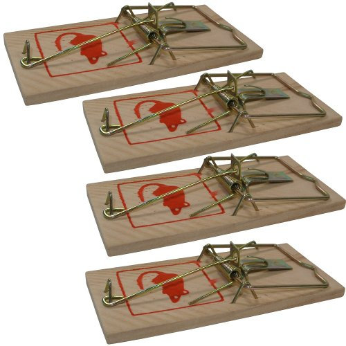 Promobo - Lot 4 Pièges à Souris Attrapes Rongeur Tapettes Bois