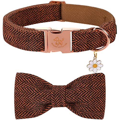 Elegant Little Tail Halloween Hundehalsband Mit Schleife - Herringbone Orange Strapazierfähiges Fliege-Halsband für Große Hunde