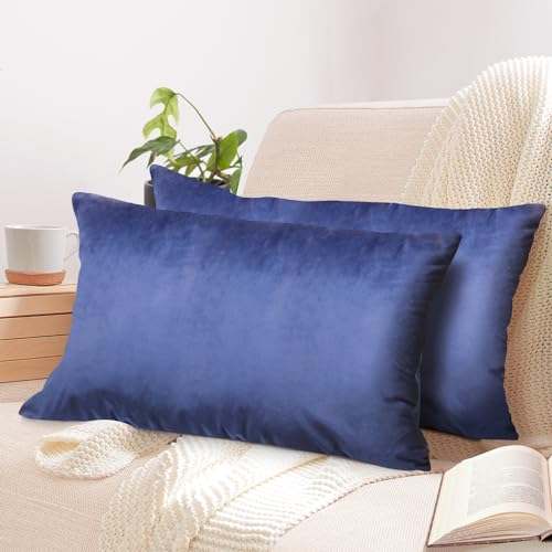 2er Set Kissenbezug 40x60 cm blau Samt flauschig weich Sofakissen Dekokissenbezug Kissenhülle für Couch, Schlafzimmer, Wohnzimmer & Balkon, Ocean, mit verstecktem Reißverschluss
