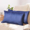 2er Set Kissenbezug 40x60 cm blau Samt flauschig weich Sofakissen Dekokissenbezug Kissenhülle für Couch, Schlafzimmer, Wohnzimmer & Balkon, Ocean, mit verstecktem Reißverschluss