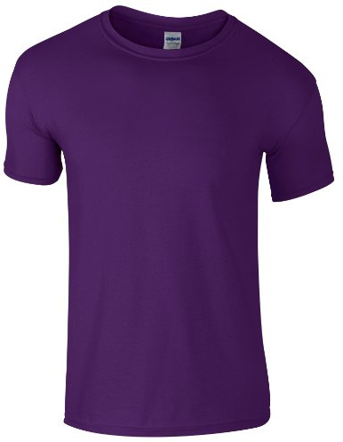 Gildan Childrens Unisex Soft Style T-Shirt (S) (Purple)