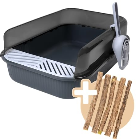 PETNEXT | [NEUEINFÜHRUNG] Offenes Katzenklo 50,5x34,5x18,5cm - Hoher Rand, frische Luft, Artgerecht, Streuschaufel & Gitter saubere Umgebung für kleine Katzen & Kitten + Matatabi Sticks