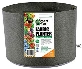 Smart Pots Soft-Sided Container, Black, Fabric, 5 gallon
