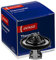 DENSO DTM82531 Termostato Motore