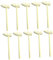 PHENOFICE 1 Satz 24 STK Kinder Spielzeug Holz Hammer Kidcraft-Spielset klein Bastelspielzeug Kinder sicherheitsleine für Kinder Hummerschlägel aus Holz Kinderspielzeug hölzern