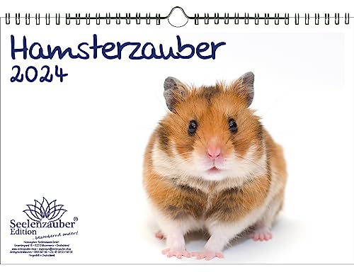 Hamsterzauber DIN A4 Kalender für 2024 Haustier Hamster - Seelenzauber