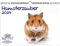 Hamsterzauber DIN A4 Kalender für 2024 Haustier Hamster - Seelenzauber
