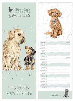 Wrendale Designs by Hannah Dale „A Dog's Life“ Slim-Kalender 2025