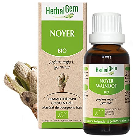 HERBALGEM - Macérât-Mère - Noyer Bio - Complément Alimentaire Gemmothérapie Concentrée - Extrait De Bourgeon Frais - Pour Digestion & Flore Intestinale - 30 ml